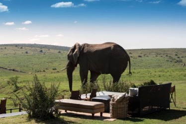 Gorah Elephant Camp Main Lodge